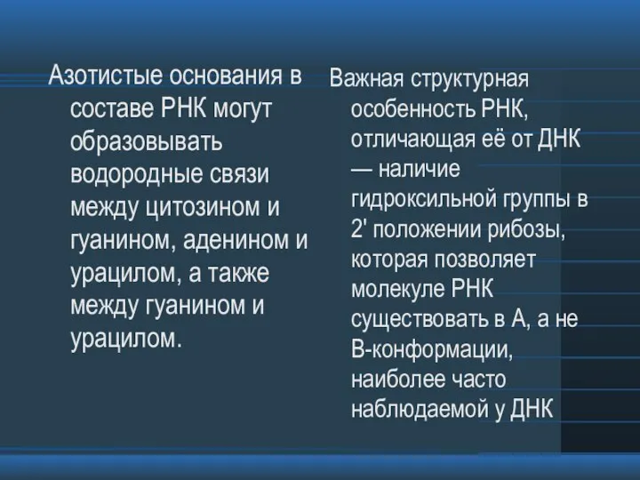 Азотистые основания в составе РНК могут образовывать водородные связи между цитозином и