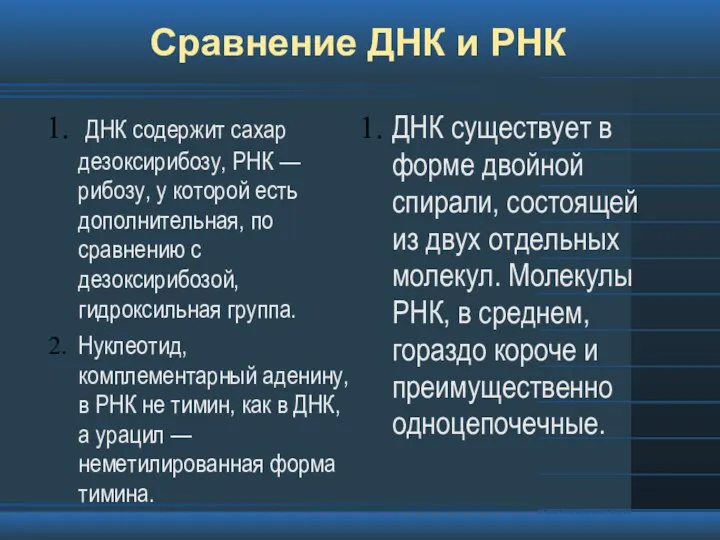 Сравнение ДНК и РНК ДНК содержит сахар дезоксирибозу, РНК — рибозу, у