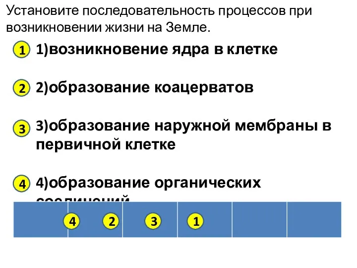 Установите последовательность процессов при возникновении жизни на Земле. 1)возникновение ядра в клетке