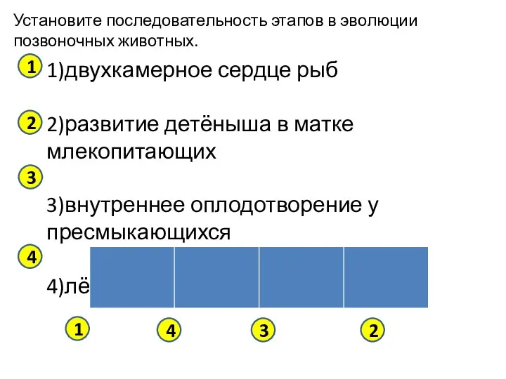 Установите последовательность этапов в эволюции позвоночных животных. 1)двухкамерное сердце рыб 2)развитие детёныша