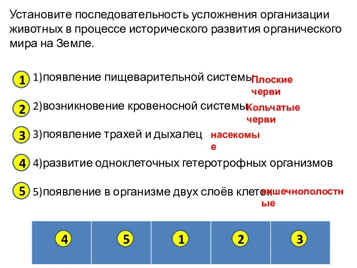 Установите последовательность усложнения организации животных в процессе исторического развития органического мира на