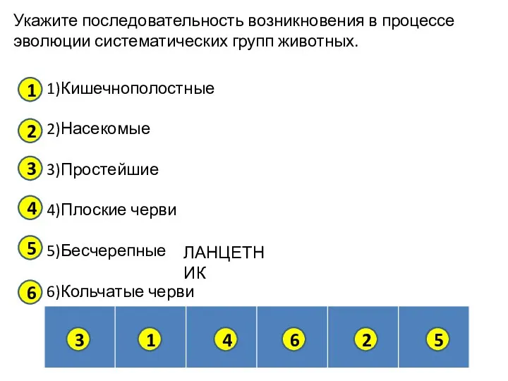 Укажите последовательность возникновения в процессе эволюции систематических групп животных. 1)Кишечнополостные 2)Насекомые 3)Простейшие