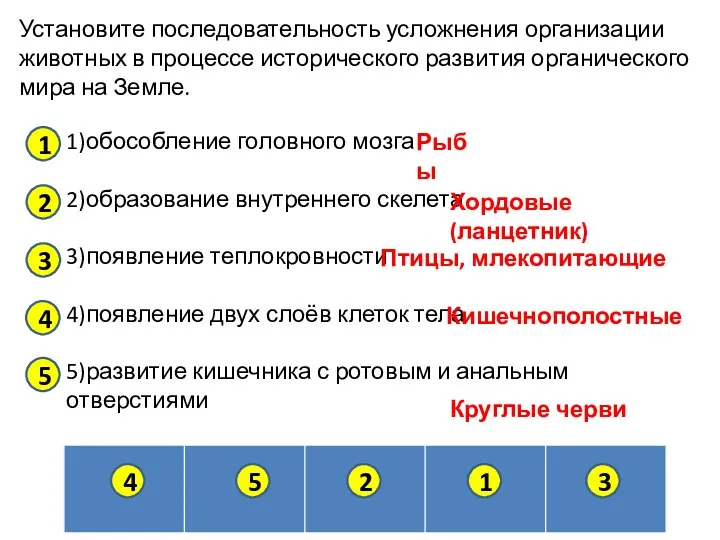 Установите последовательность усложнения организации животных в процессе исторического развития органического мира на