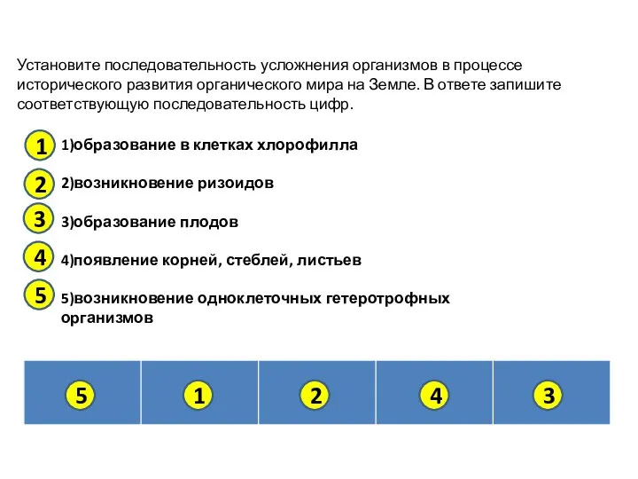 Установите последовательность усложнения организмов в процессе исторического развития органического мира на Земле.