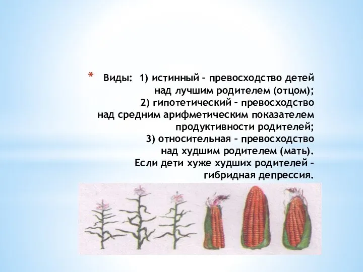 Виды: 1) истинный – превосходство детей над лучшим родителем (отцом); 2) гипотетический