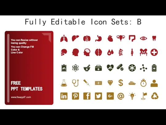 Fully Editable Icon Sets: B