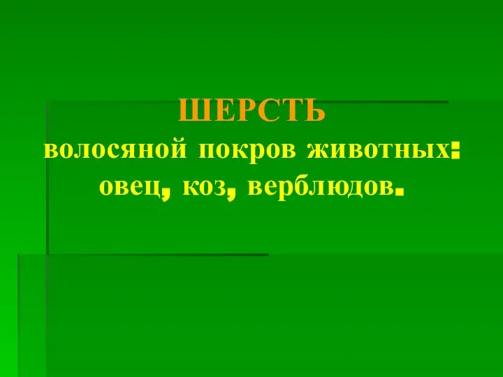 ШЕРСТЬ волосяной покров животных: овец, коз, верблюдов.