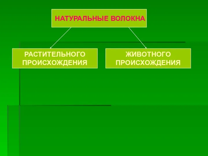 НАТУРАЛЬНЫЕ ВОЛОКНА РАСТИТЕЛЬНОГО ПРОИСХОЖДЕНИЯ ЖИВОТНОГО ПРОИСХОЖДЕНИЯ