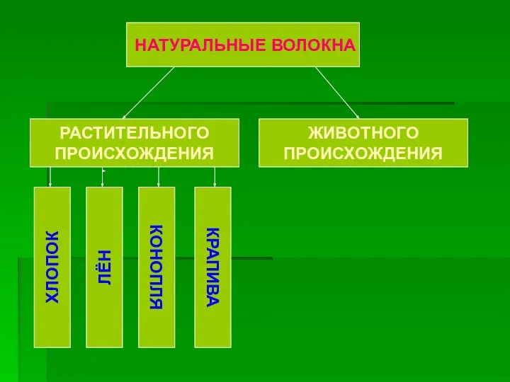 НАТУРАЛЬНЫЕ ВОЛОКНА РАСТИТЕЛЬНОГО ПРОИСХОЖДЕНИЯ ЖИВОТНОГО ПРОИСХОЖДЕНИЯ ХЛОПОК ЛЁН КОНОПЛЯ КРАПИВА