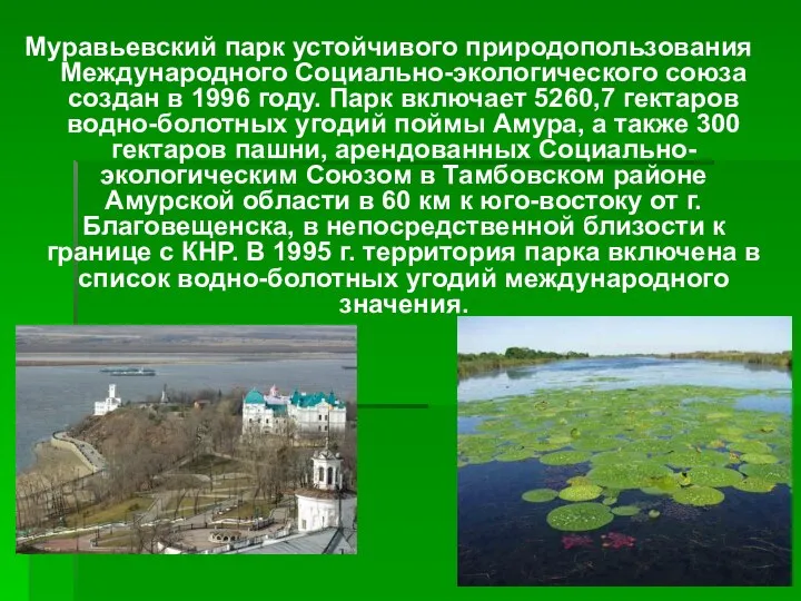 Муравьевский парк устойчивого природопользования Международного Социально-экологического союза создан в 1996 году. Парк