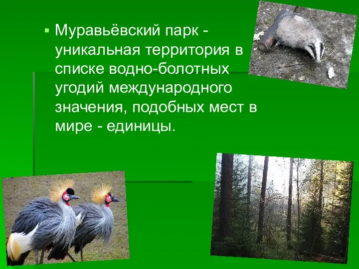 Муравьёвский парк - уникальная территория в списке водно-болотных угодий международного значения, подобных