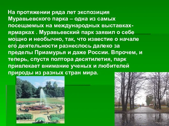 На протяжении ряда лет экспозиция Муравьевского парка – одна из самых посещаемых