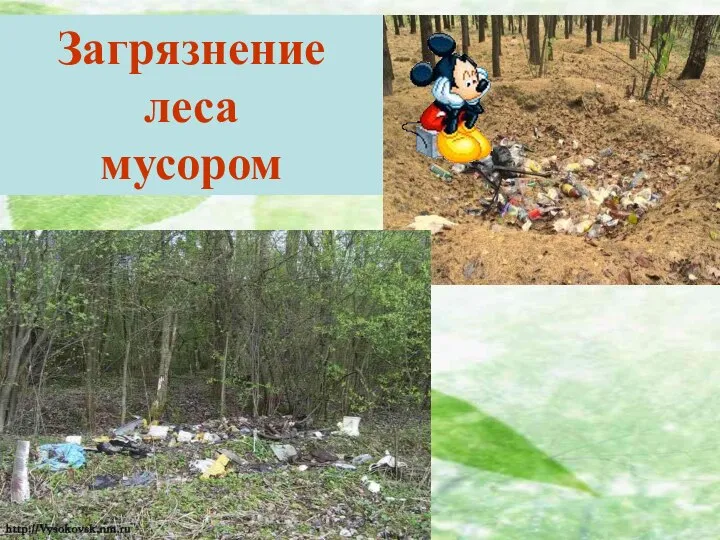 Загрязнение леса мусором