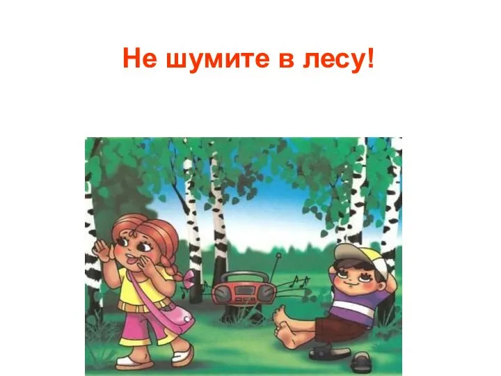 Не шумите в лесу!