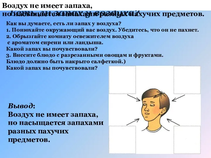 Есть ли запах у воздуха? Как вы думаете, есть ли запах у