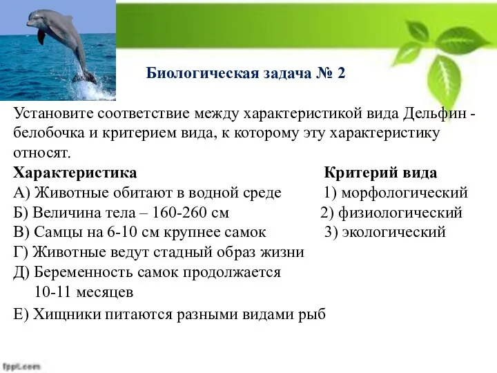 Биологическая задача № 2 Установите соответствие между характеристикой вида Дельфин -белобочка и