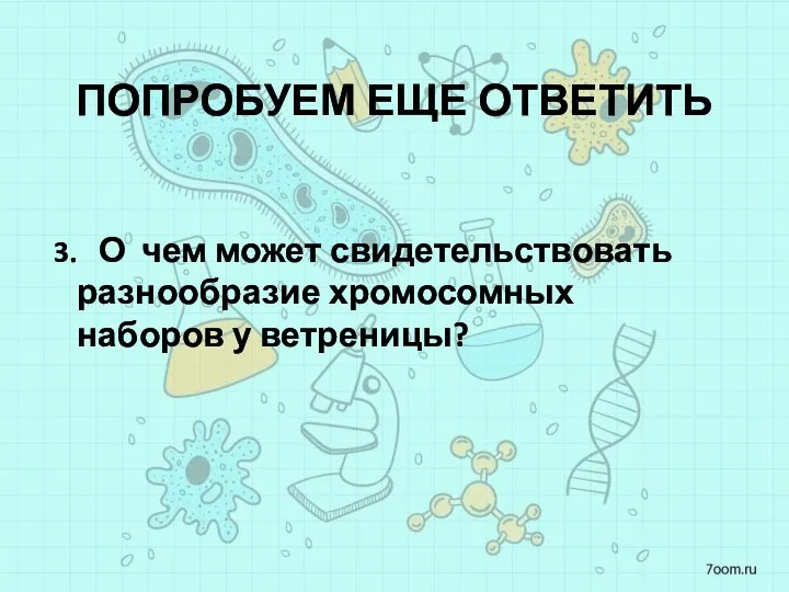 ПОПРОБУЕМ ЕЩЕ ОТВЕТИТЬ 3. О чем может свидетельствовать разнообразие хромосомных наборов у ветреницы?