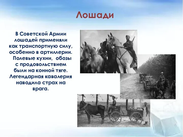 В Советской Армии лошадей применяли как транспортную силу, особенно в артиллерии. Полевые