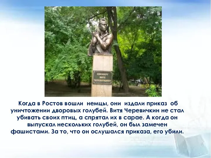 Когда в Ростов вошли немцы, они издали приказ об уничтожении дворовых голубей.