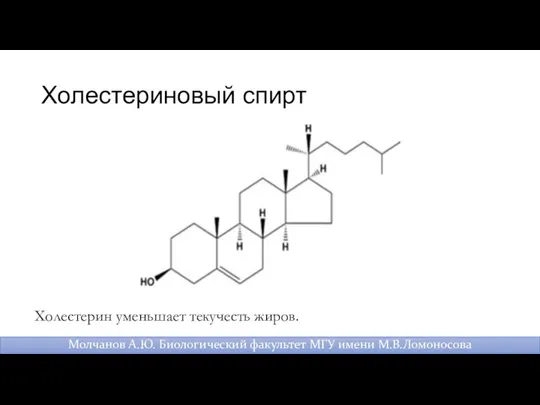 Холестериновый спирт Молчанов А.Ю. Биологический факультет МГУ имени М.В.Ломоносова Холестерин уменьшает текучесть жиров.