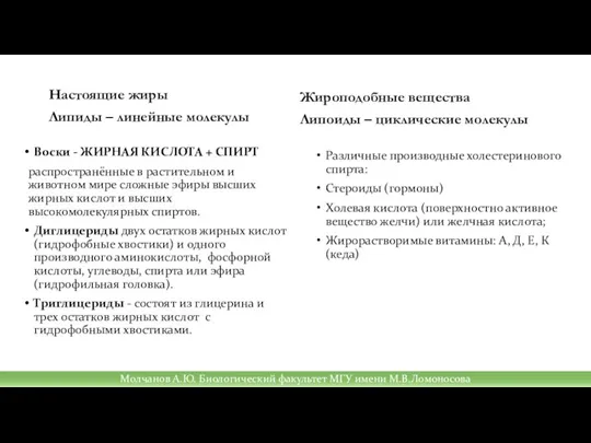 Настоящие жиры Липиды – линейные молекулы Воски - ЖИРНАЯ КИСЛОТА + СПИРТ