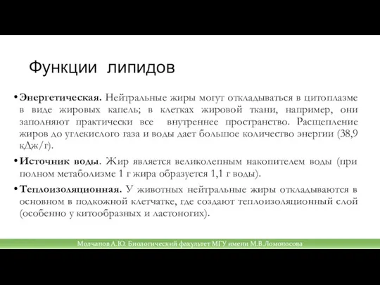 Функции липидов Энергетическая. Нейтральные жиры могут откладываться в цитоплазме в виде жировых