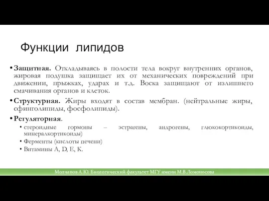 Функции липидов Защитная. Откладываясь в полости тела вокруг внутренних органов, жировая подушка