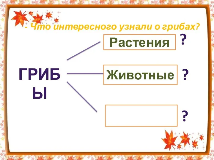 ГРИБЫ Растения Животные ? ? ? - Что интересного узнали о грибах?