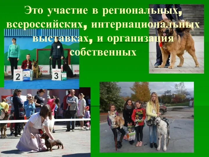 Это участие в региональных, всероссийских, интернациональных выставках, и организация собственных