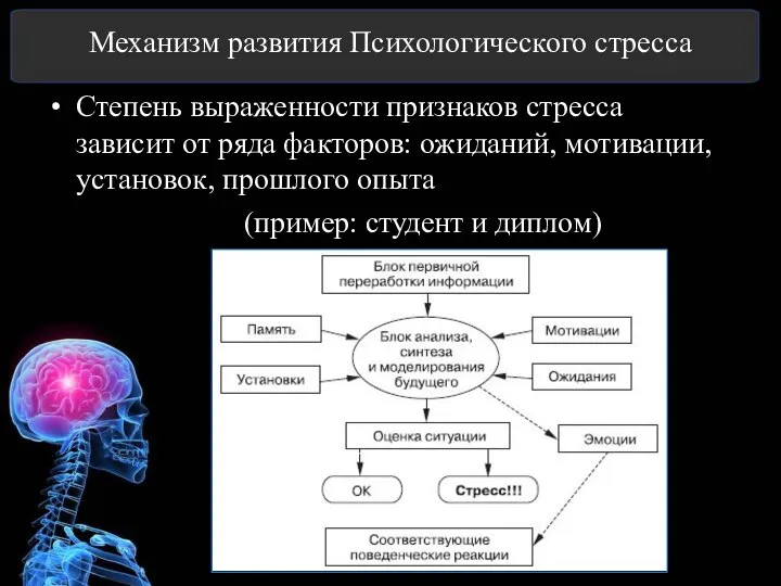 Механизм развития Психологического стресса Степень выраженности признаков стресса зависит от ряда факторов: