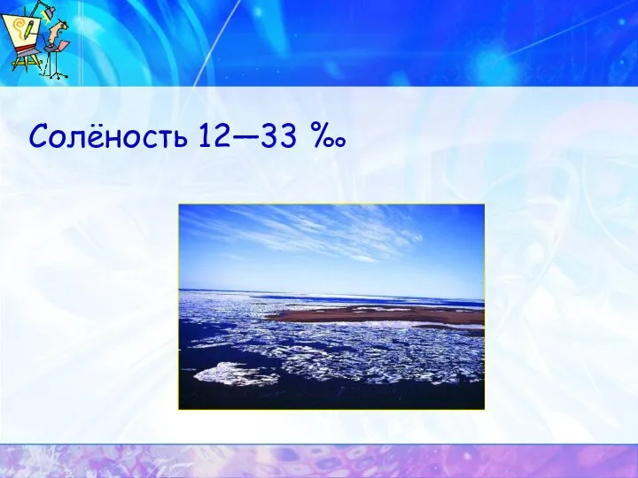 Солёность 12—33 ‰