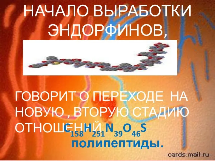 ГОВОРИТ О ПЕРЕХОДЕ НА НОВУЮ , ВТОРУЮ СТАДИЮ ОТНОШЕНИЙ. НАЧАЛО ВЫРАБОТКИ ЭНДОРФИНОВ, C158H251N39O46S полипептиды.