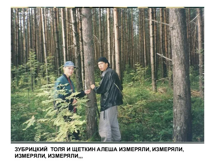 ЗУБРИЦКИЙ ТОЛЯ И ЩЕТКИН АЛЕША ИЗМЕРЯЛИ, ИЗМЕРЯЛИ, ИЗМЕРЯЛИ, ИЗМЕРЯЛИ,,,