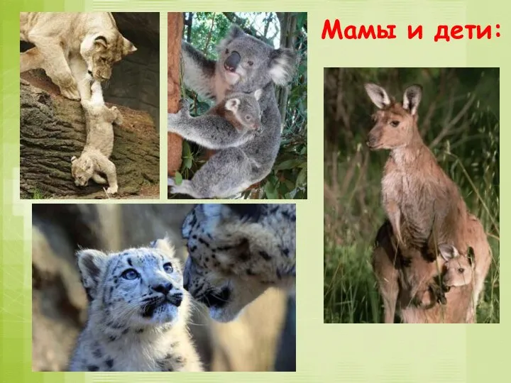 Мамы и дети: