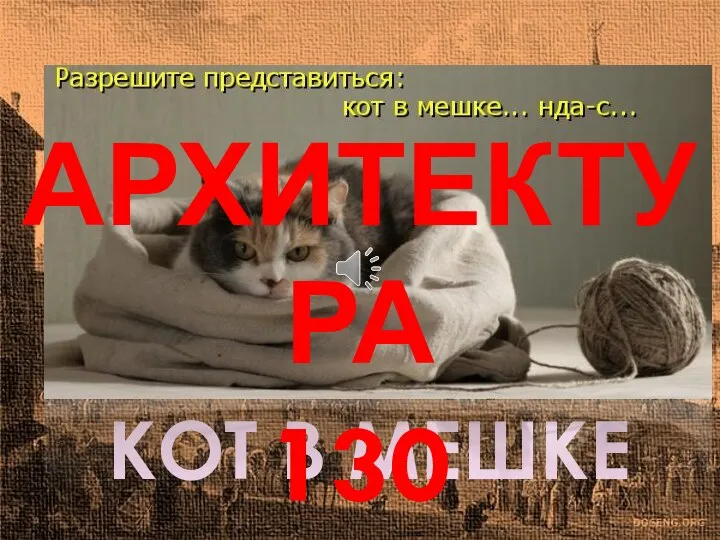 КОТ В МЕШКЕ АРХИТЕКТУРА 130