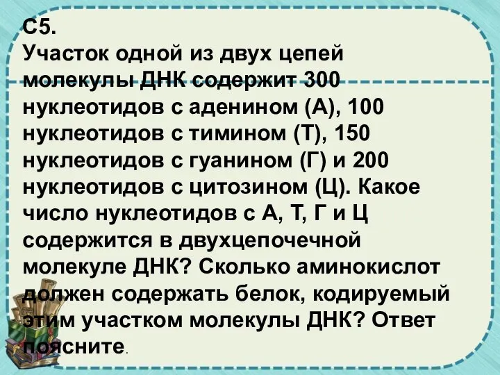 C5. Участок одной из двух цепей молекулы ДНК содержит 300 нуклеотидов с