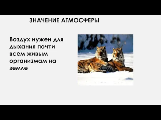 ЗНАЧЕНИЕ АТМОСФЕРЫ Воздух нужен для дыхания почти всем живым организмам на земле