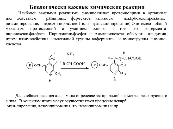 Биологически важные химические реакции Наиболее важными реакциями α-аминокислот протекающими в организме под