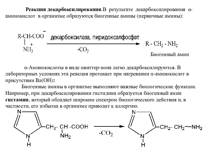 Реакция декарбоксилирования.В результате декарбоксилирования α-аминокислот в организме образуются биогенные амины (первичные амины):