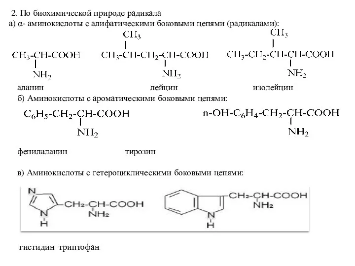 2. По биохимической природе радикала а) α- аминокислоты с алифатическими боковыми цепями