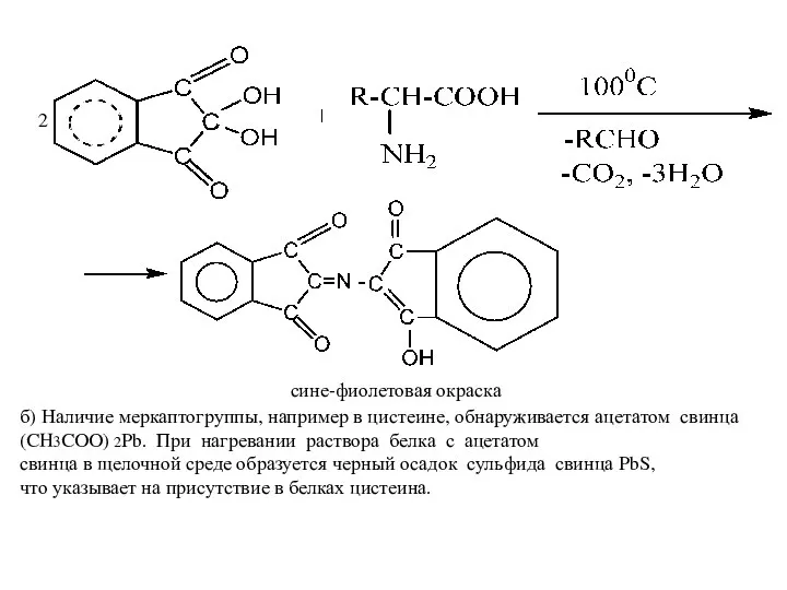 сине-фиолетовая окраска 2 б) Наличие меркаптогруппы, например в цистеине, обнаруживается ацетатом свинца