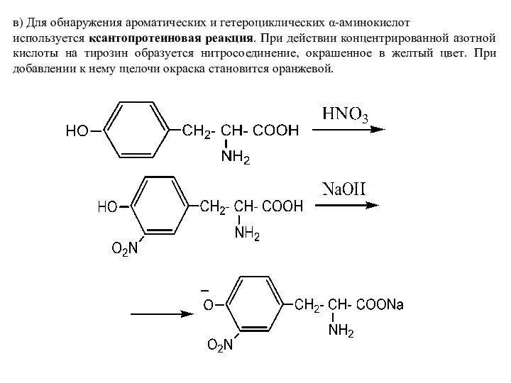 в) Для обнаружения ароматических и гетероциклических α-аминокислот используется ксантопротеиновая реакция. При действии