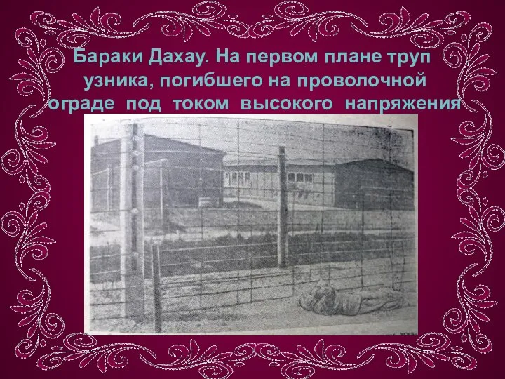 Бараки Дахау. На первом плане труп узника, погибшего на проволочной ограде под током высокого напряжения