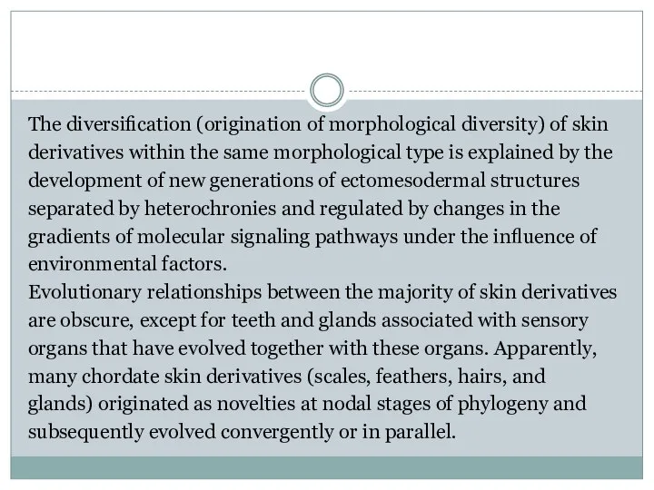 The diversiﬁcation (origination of morphological diversity) of skin derivatives within the same