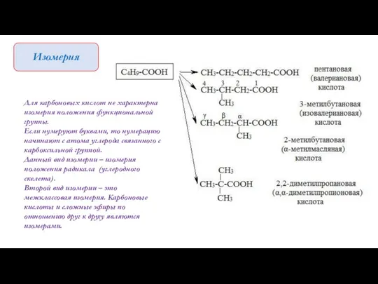 Изомерия Для карбоновых кислот не характерна изомерия положения функциональной группы. Если нумеруют