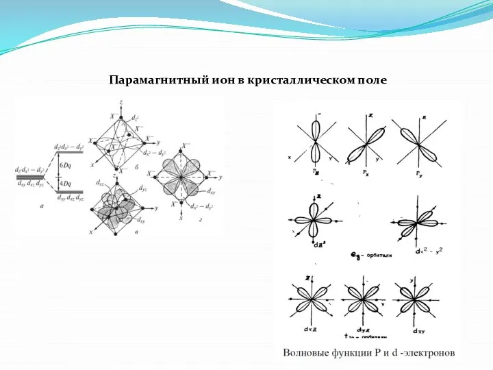 Парамагнитный ион в кристаллическом поле