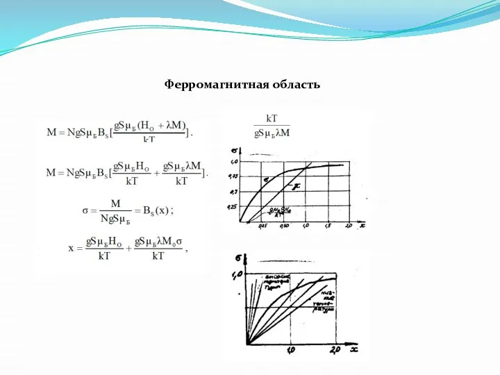 Ферромагнитная область