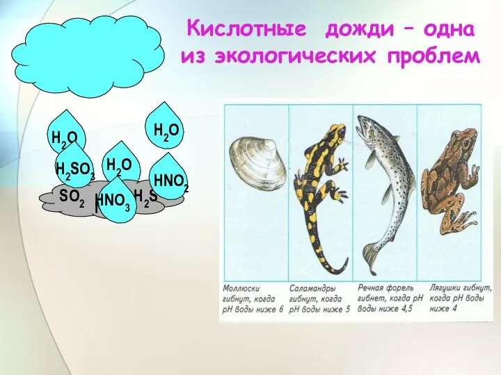 Кислотные дожди – одна из экологических проблем Н2О Н2О Н2О NО2 SО2 Н2S Н2SО3 НNО3 НNО2