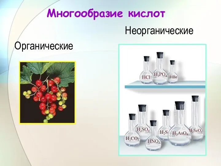 Многообразие кислот Неорганические Органические