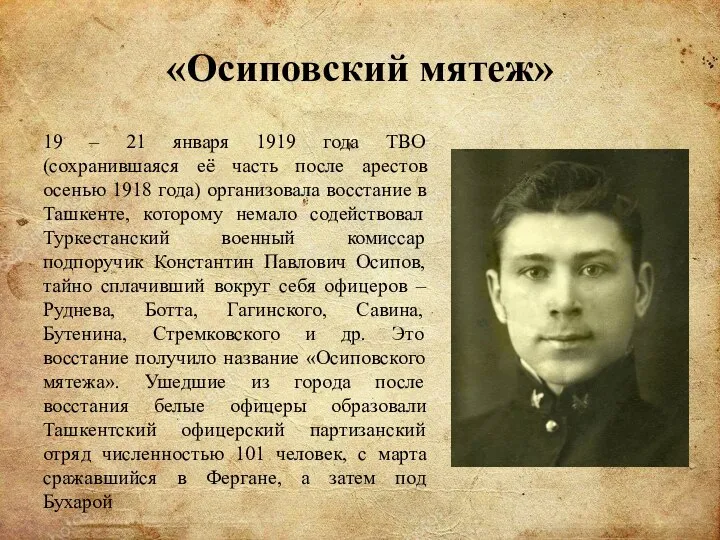 «Осиповский мятеж» 19 – 21 января 1919 года ТВО (сохранившаяся её часть